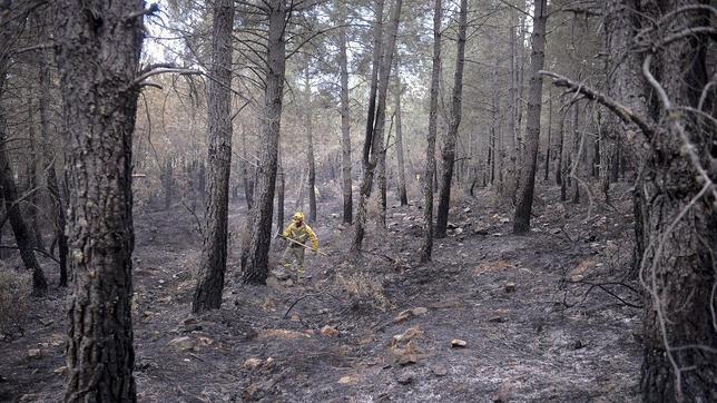 Operarios trabajan en las labores de extinción del incendio que afecta a la Sierra Norte de Guadalajara y que se inició el pasado jueves en Aleas