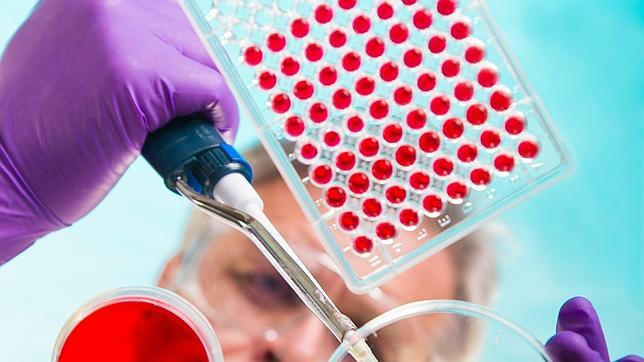 El 75% de la población tiene niveles más bajos de lo aconsejable de vitamina D