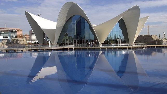 El Consell sólo externalizará la gestión del Oceanogràfic y el Ágora