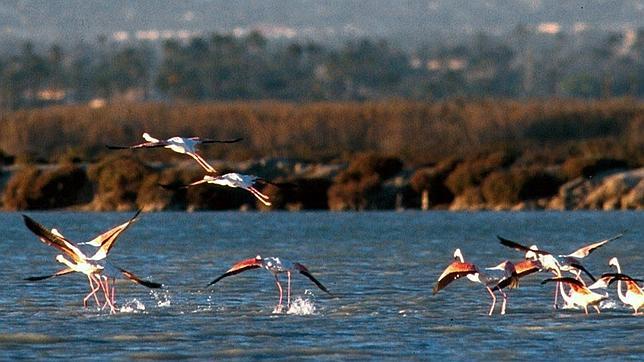 Red Natura 2000: «A España le queda mucho trabajo por hacer»