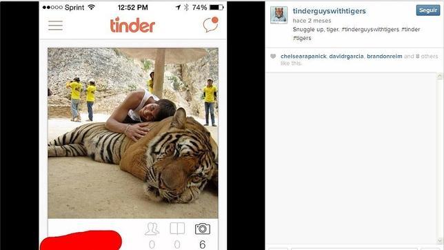 Selfies con tigres, la nueva moda en Tailandia