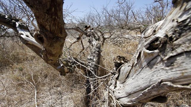 Más de 12.000 agricultores se quedan sin poder regar por la sequía