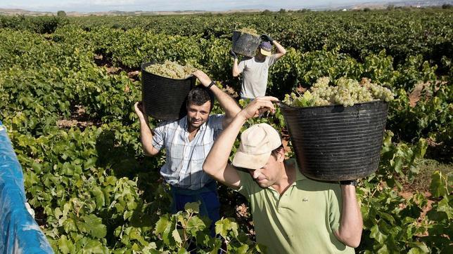 Francia teme a los vinos españoles