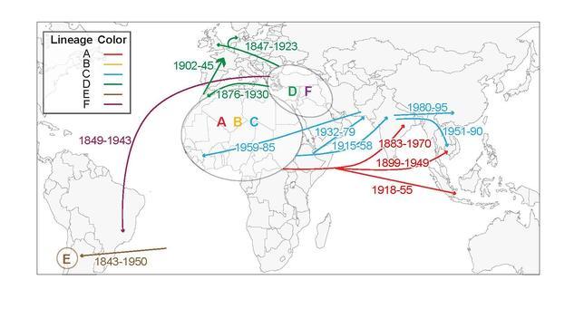 Los cambios ambientales pudieron generar las grandes epidemias bacterianas