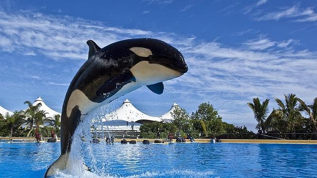 Un zoo español, considerado el mejor de Europa y tercero del mundo