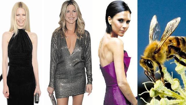 El veneno de abeja, el secreto de las famosas