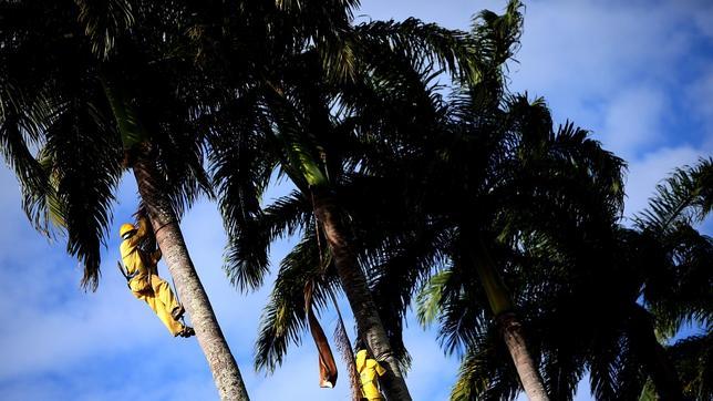 La economía brasileña se contrae por los efectos del Mundial de fútbol