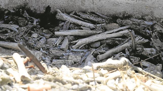 Huesos humanos y de animales entre la basura de un cementerio