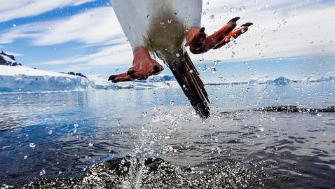 Las fotos de naturaleza más impactantes del año