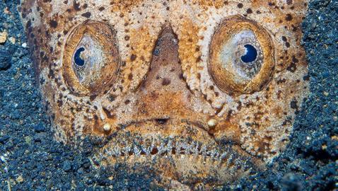 Las fotos de naturaleza más impactantes del año