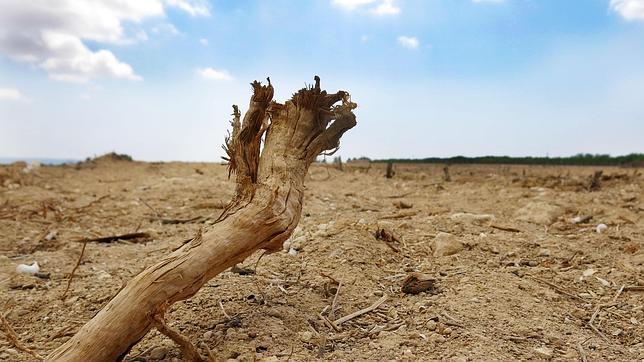 Alicante registra los primeros seis meses más secos en 157 años