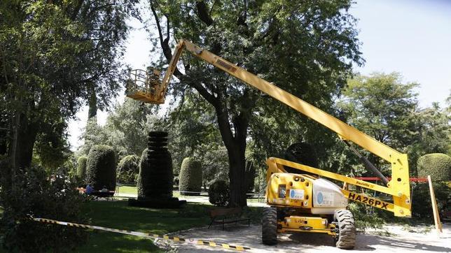 Los árboles del Retiro se someten a «cirugía de riesgo»