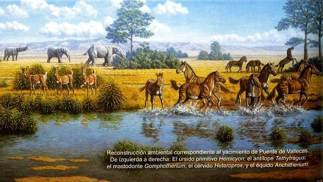 De mastodontes a búnkeres de guerra: Madrid desentierra su historia