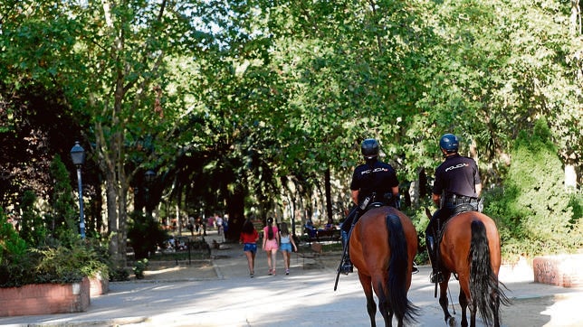 Rastrean informes de consumidores de pornografía infantil en busca del raptor