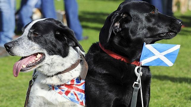 Un británico apuesta más de un millón de dólares contra la independencia de Escocia