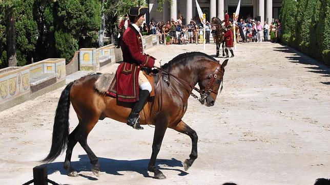 El caballo lusitano