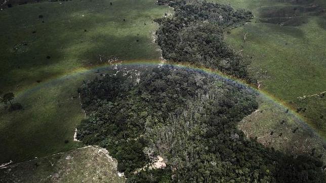 Los españoles, entre los europeos más preocupados por el medio ambiente