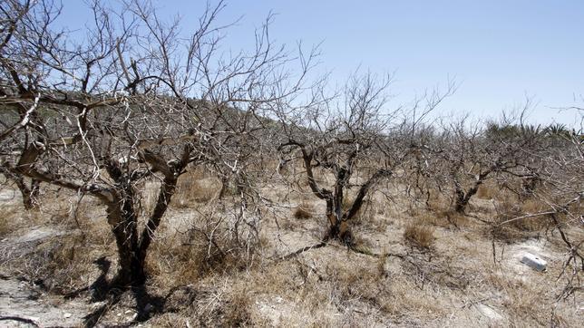 Los embalses valencianos pierden en un año el equivalente al trasvase del Ebro