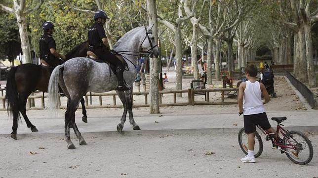 Niño en bicicleta y policías a caballo