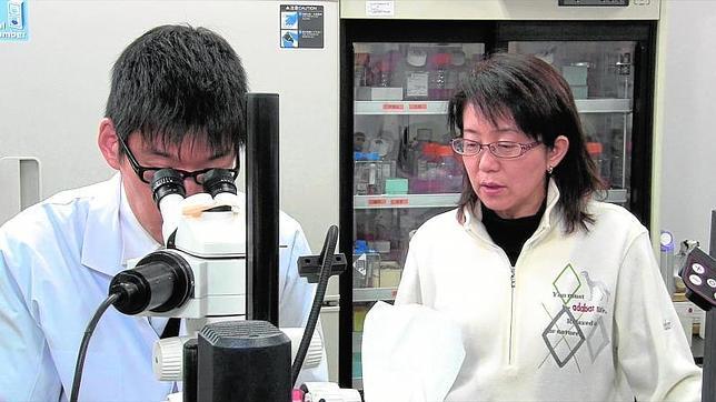 Primer trasplante de retina fabricado con piel para curar la ceguera