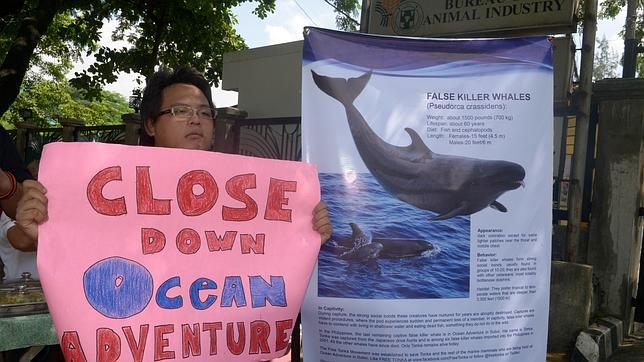 La Comisión Ballenera Internacional tiene mayoría para frenar el nuevo plan de Japón en el Antártico para 2015-16