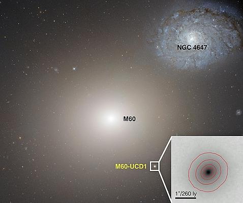 Los científicos creen que la galaxia M60-UCD1 puede ser el remanente de otra más grande