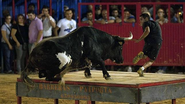 El PP exige al PSOE que defina con «claridad» su postura sobre los Bous al Carrer