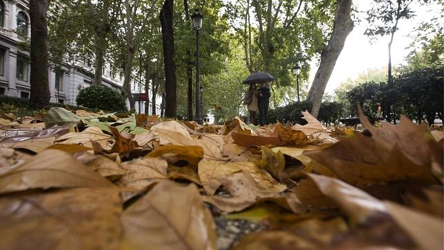 ¿Qué debemos saber sobre el otoño?