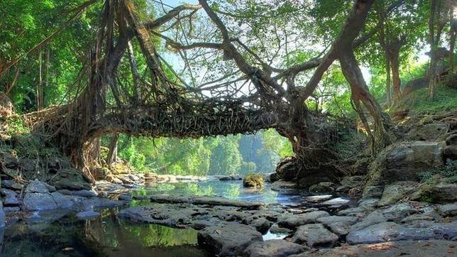 Los cinco puentes más llamativos del mundo