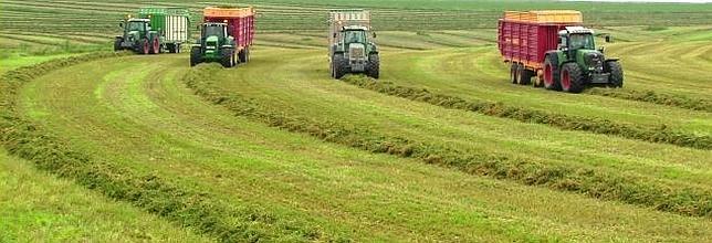 «Ni hao, dejen paso a la alfalfa made in Spain»
