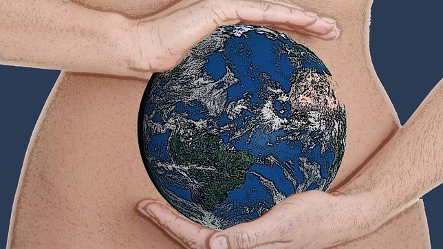 El cuerpo humano: una máquina perfecta