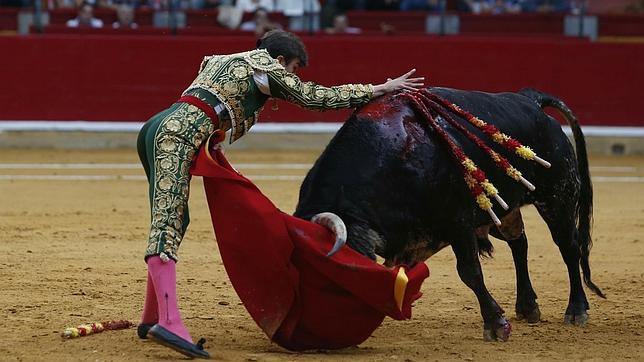 Indultado por primera vez en la historia un novillo en Zaragoza
