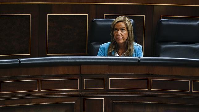 Mato recoge el plan de Gallardón y confirma que modificará el aborto referido a menores