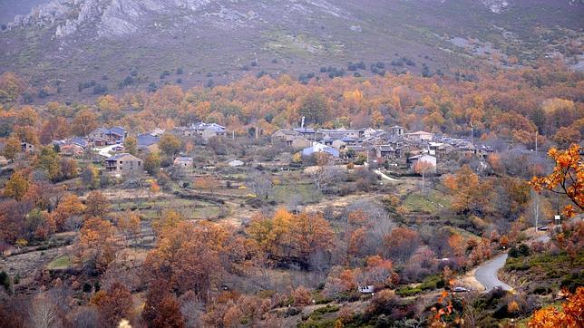 Los mejores sitios para coger setas en Castilla-La Mancha