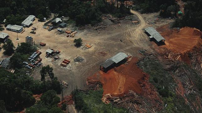 Siguiendo la pista de la deforestación en Brasil gracias al GPS