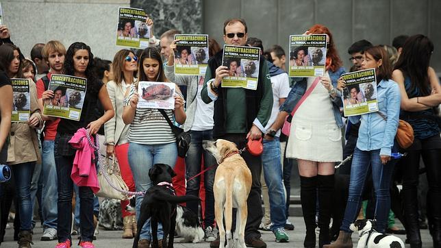 Manifestantes del partido animalista PACMA en apoyo a Excálibur, el perro de la auxiliar de enfermería infectada de ébola, Teresa Romero