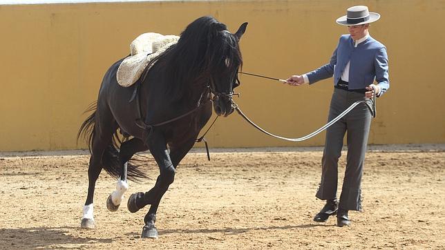 Córdoba, capital mundial del caballo