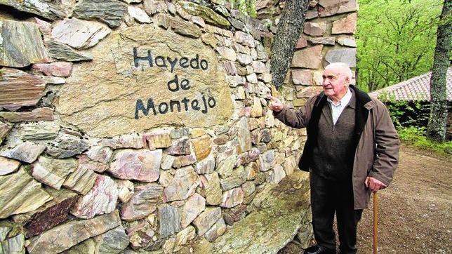 El amante del Hayedo de Montejo