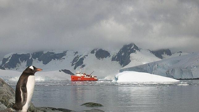 China y Rusia se opusieron en 2011 a la creación de una Área Marina Protegida de 1,9 millones de kilómetros cuadrados en siete regiones de la Antártida