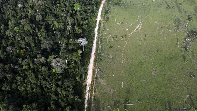 La deforestación aumentó en septiembre un 290% en Amazonia brasileña