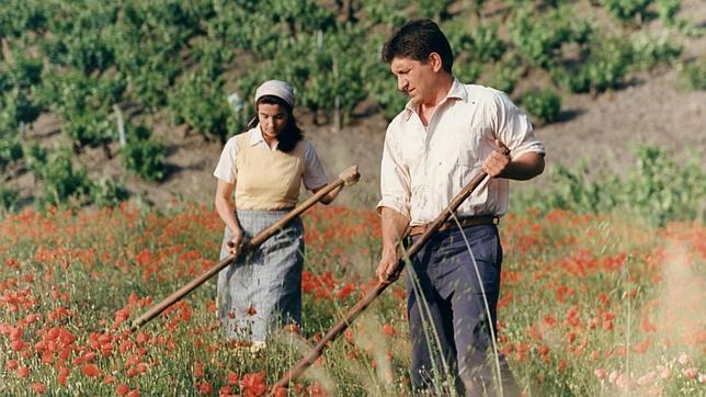 «Sempre Xonxa», cinta gallega estrenada en 1989