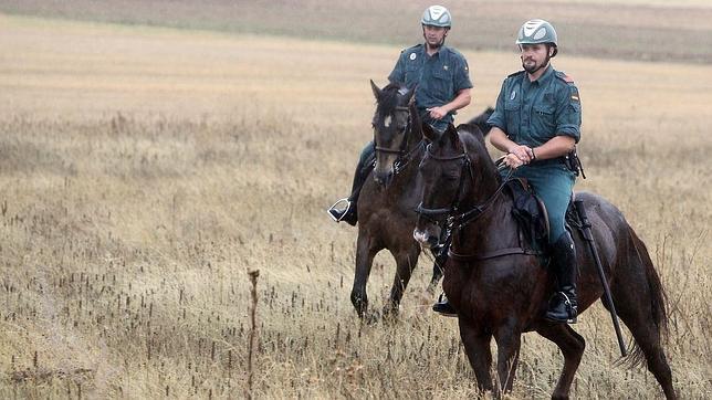 Más de 80 detenidos y un centenar de imputados por robos en el campo aragonés