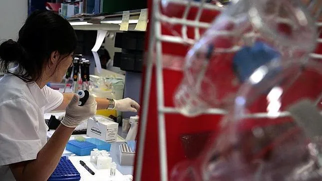 Investigadores españoles ensayan con éxito un probiótico que previene la tuberculosis