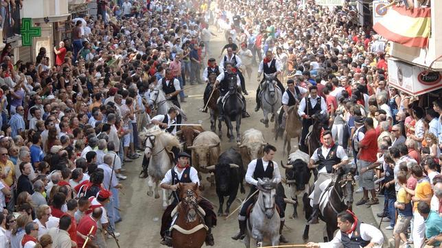 Imputan al gobierno municipal de Segorbe por la ordenanza de festejos taurinos