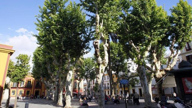 Sevilla, más «verde» que ninguna