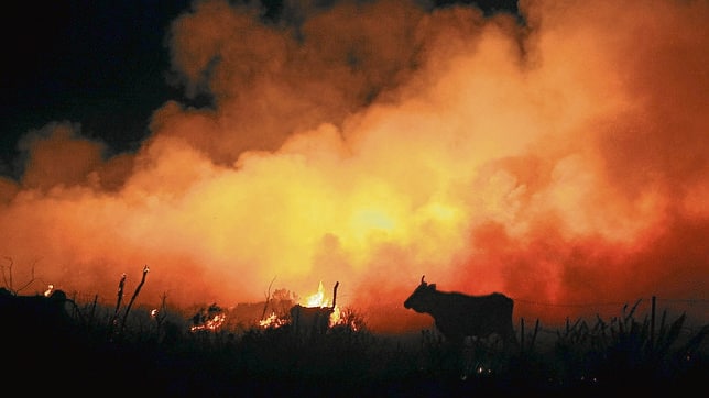 El Consejo de Ministros aprobó el 24 de octubre el nuevo Plan Estatal de Protección Civil de Emergencia por Incendios Forestales, que sustituye al del año 1993