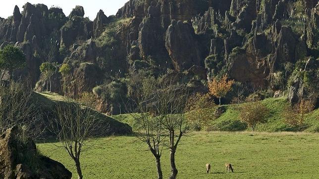 Custodia del Territorio: Medio Ambiente ha destinado 2,1 millones de euros en proyectos desde 2012