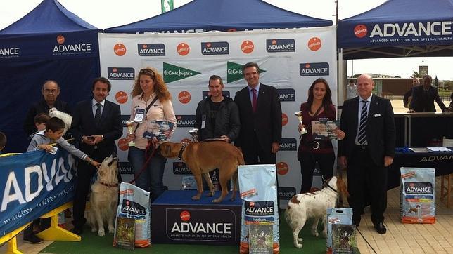 El perro más simpático de Córdoba