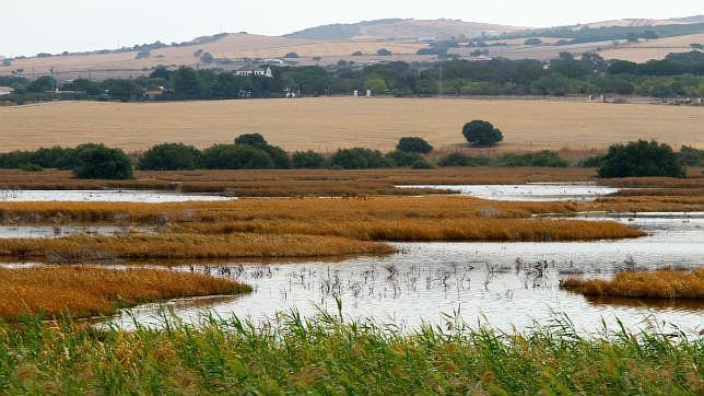 Restaurada la laguna de Los Tollos, un importante humedal andaluz