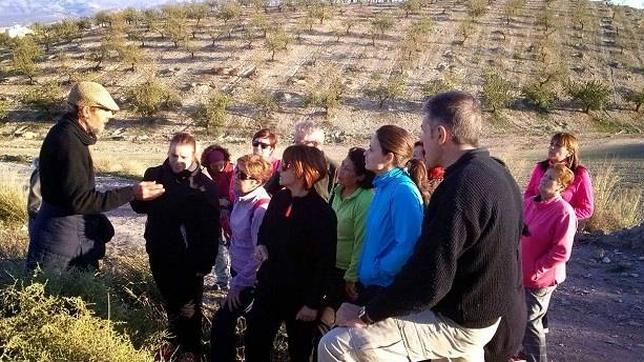 Vuelven las brujas a los campos de Granada